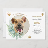 Lasst uns pawty, Hundebeitag Einladung (Vorderseite)