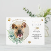 Lasst uns pawty, Hundebeitag Einladung (Stehend Vorderseite)