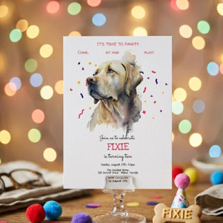 Lasst uns pawty, Hundebeitag Einladung