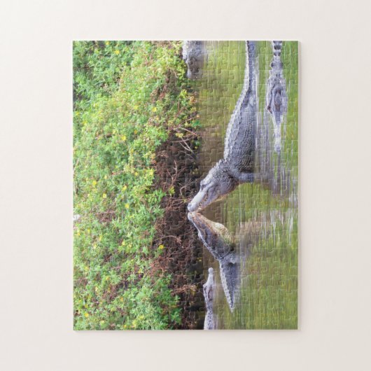 Lasst uns Rummel - Frühling mit den Gators! - Alli Puzzle (Vertikal)