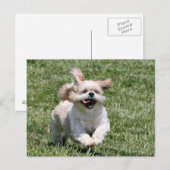 Lasst uns zusammen spielen postkarte (Vorne/Hinten)