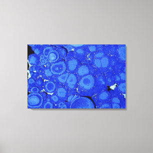 Lasurstein, ein Erz des Kupfers, Arizona, USA Leinwanddruck