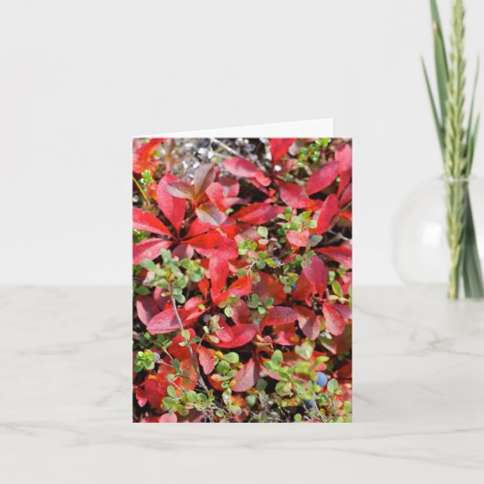 Late Summer in Alaska - 4" x 5.6" Notecard Karte (Vorderseite)