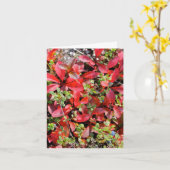 Late Summer in Alaska - 4" x 5.6" Notecard Karte (Gelbe Blume)