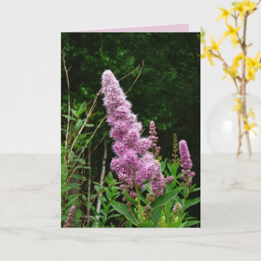 Late Summer Memory Karte (Gelbe Blume)