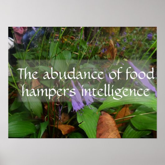 Latein Weisheit zitiert Intelligenzgrün Poster (Vorne)