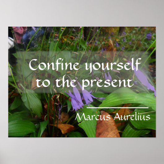 Lateinische Weisheit Zitat Grünplakat Poster (Vorne)