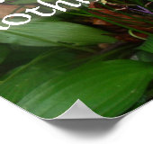 Lateinische Weisheitsziffer über das Justizposter Poster (Ecke)