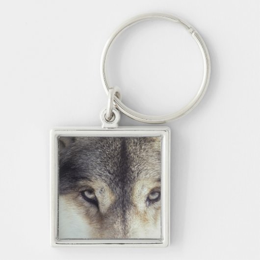 Lateinischer Name: CanisLupus Schlüsselanhänger (Vorne)