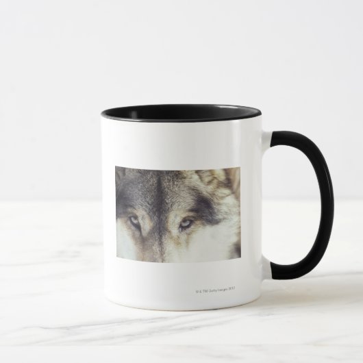 Lateinischer Name: CanisLupus Tasse (Rechts)