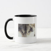 Lateinischer Name: CanisLupus Tasse (Links)