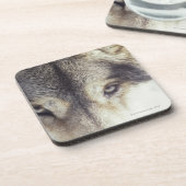 Lateinischer Name: CanisLupus Untersetzer (Linke Seite)