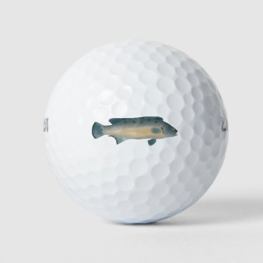 Lateral gestreifter Hechtbuntbarsch Golfball (Vorderseite)