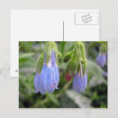 Lateralflucht Postkarte (Vorne/Hinten)