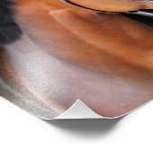 Latigo Trail Fotodruck (Ecke)