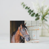 Latigo Trail Postkarte (Stehend Vorderseite)