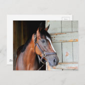 Latigo Trail Postkarte (Vorne/Hinten)