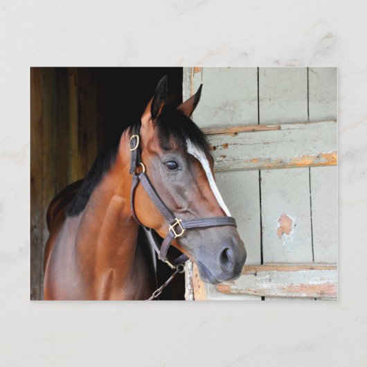 Latigo Trail Postkarte (Vorderseite)