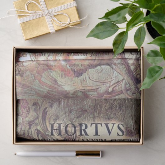 Latin ephemera seidenpapier (Geschenk)