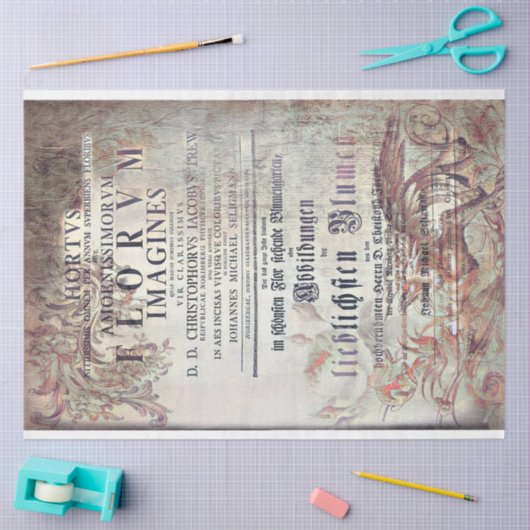 Latin ephemera seidenpapier (Basteln)