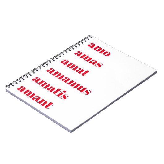 Latin Notebook, Amo Amas Amat, Schooldays Theme Notizblock (Linke Seite)