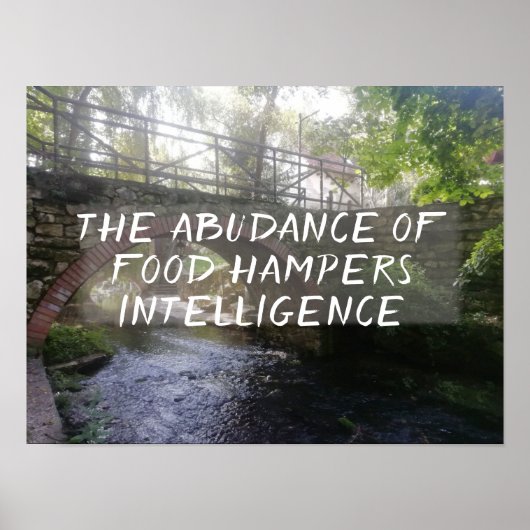 Latin Zitat Seneca Intelligence Poster (Vorne)