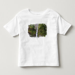 Latourell Fälle u. Brücken-Columbia River Schluc Kleinkind T-shirt