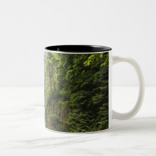 Latourell Fälle u. Brücken-Columbia River Schluc Zweifarbige Tasse