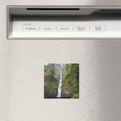 Latourell Falls & Bridge Columbia River Gorge Magnet (In Situ (Geschirrspüler))