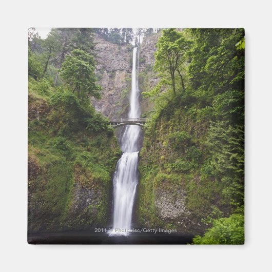 Latourell Falls & Bridge Columbia River Gorge Magnet (Vorne)