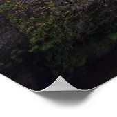 Latourell Falls & Bridge Columbia River Gorge Poster (Ecke)