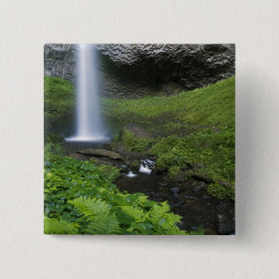 Latourell Falls, Columbia River Gorge, Oregon, Button