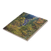 Latourell Falls, Columbia River Gorge, Oregon Fliese (Seite)