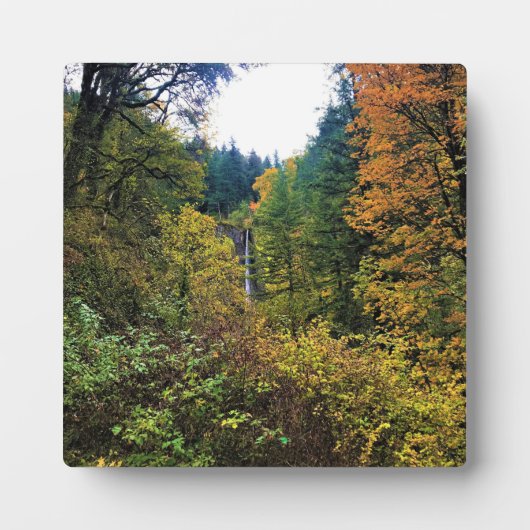 Latourell Falls, Columbia River Gorge, Oregon Fotoplatte (Vorderseite)