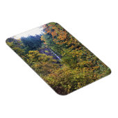 Latourell Falls, Columbia River Gorge, Oregon Magnet (Rechte Seite)