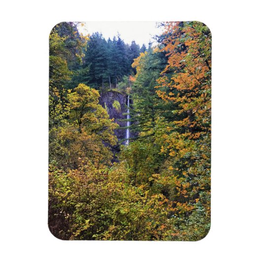 Latourell Falls, Columbia River Gorge, Oregon Magnet (Vertikal)