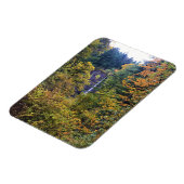 Latourell Falls, Columbia River Gorge, Oregon Magnet (Linke Seite)