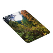 Latourell Falls, Columbia River Gorge, Oregon Magnet (Rechte Seite)