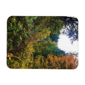 Latourell Falls, Columbia River Gorge, Oregon Magnet (Horizontal)
