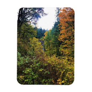 Latourell Falls, Columbia River Gorge, Oregon Magnet