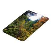 Latourell Falls, Columbia River Gorge, Oregon Magnet (Linke Seite)