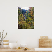 Latourell Falls, Columbia River Gorge, Oregon Poster (Küche)
