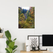 Latourell Falls, Columbia River Gorge, Oregon Poster (Heimbüro)