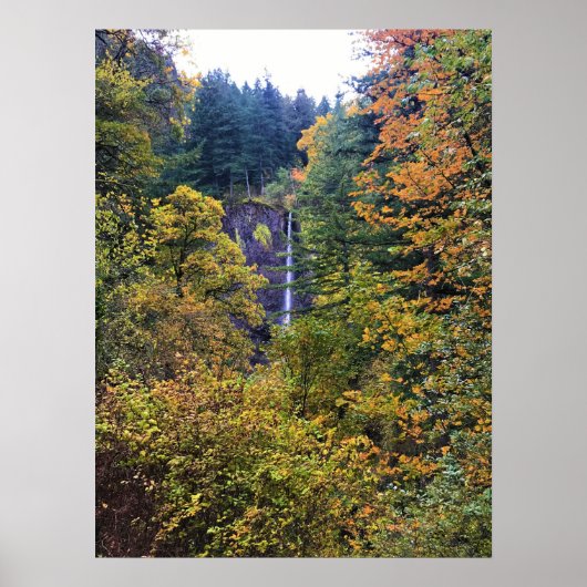 Latourell Falls, Columbia River Gorge, Oregon Poster (Vorne)