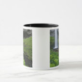 Latourell Falls, Columbia River Gorge, Oregon, Tasse (Zentrum)