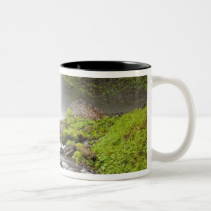 Latourell Falls, Columbia River Gorge, Oregon, Zweifarbige Tasse
