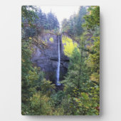 Latourell Falls Fotoplatte (Vorderseite)