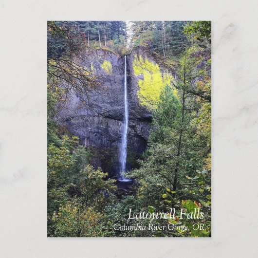 Latourell Falls, Oregon Feiertagspostkarte (Vorderseite)