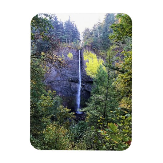 Latourell Falls, Oregon Magnet (Vertikal)