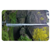 Latourell Falls, Oregon Magnet (Horizontal)